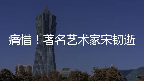 痛惜！著名藝術(shù)家宋韌逝世