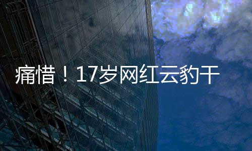 痛惜！17歲網(wǎng)紅云豹干干離世，悼念一顆閃耀星辰的隕落