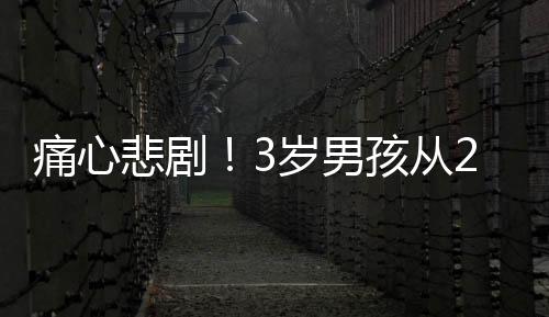 痛心悲?。?歲男孩從27樓走廊墜亡