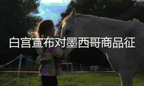 白宮宣布對墨西哥商品征收25%關(guān)稅，全球貿(mào)易局勢再掀波瀾