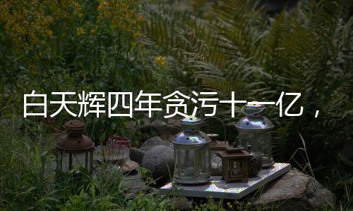 白天輝四年貪污十一億，二審維持死刑判決，法律正義彰顯的深刻案例