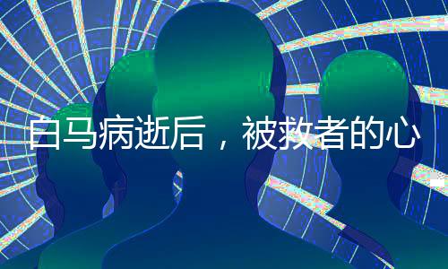 白馬病逝后，被救者的心靈回響與自責(zé)之夜