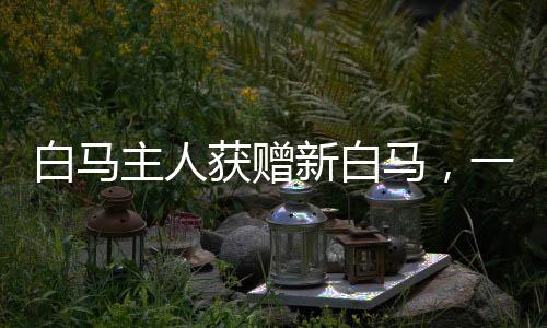 白馬主人獲贈新白馬，一段佳話的傳承與續(xù)寫