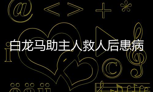 白龍馬助主人救人后患病高燒，人文關(guān)懷照亮善行之路