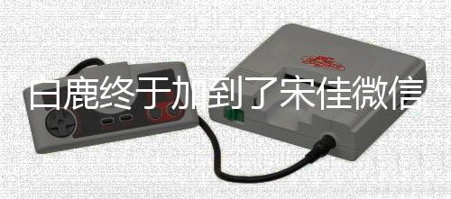 白鹿終于加到了宋佳微信，演藝界的新友情故事