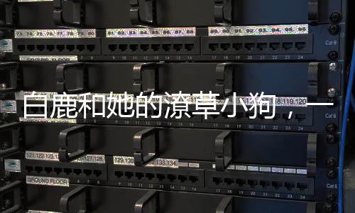 白鹿和她的潦草小狗，一段溫馨的人寵奇緣