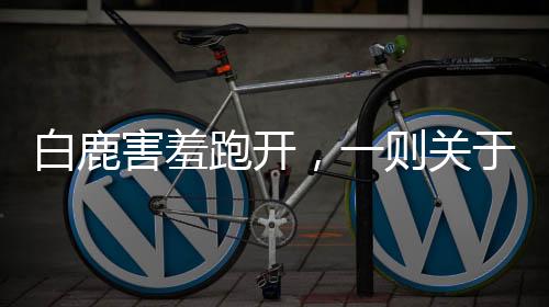 白鹿害羞跑開，一則關(guān)于自然與野趣的溫馨故事