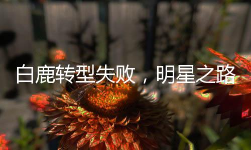 白鹿轉(zhuǎn)型失敗，明星之路的挑戰(zhàn)與反思