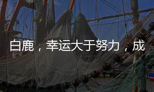 白鹿，幸運大于努力，成就今日輝煌