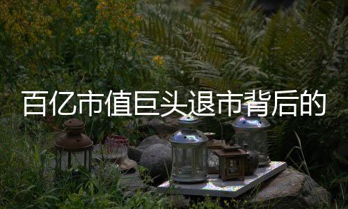 百億市值巨頭退市背后的故事與反思，探究資本市場深處的變數(shù)與挑戰(zhàn)