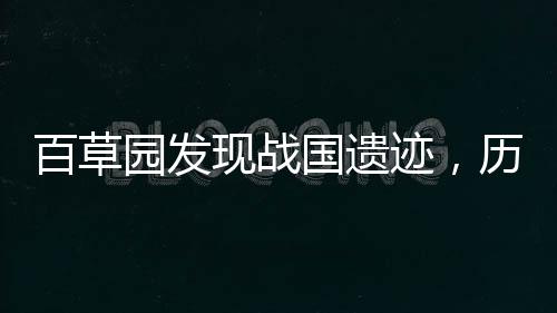百草園發(fā)現(xiàn)戰(zhàn)國(guó)遺跡，歷史文化的瑰寶再現(xiàn)
