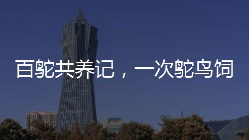 百鴕共養(yǎng)記，一次鴕鳥飼養(yǎng)與美食直播之旅