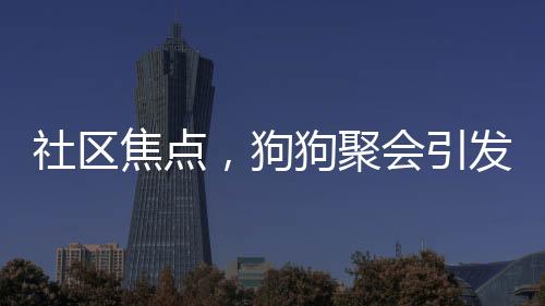 社區(qū)焦點(diǎn)，狗狗聚會(huì)引發(fā)關(guān)注，挨家挨戶搖狗打架現(xiàn)象引發(fā)討論