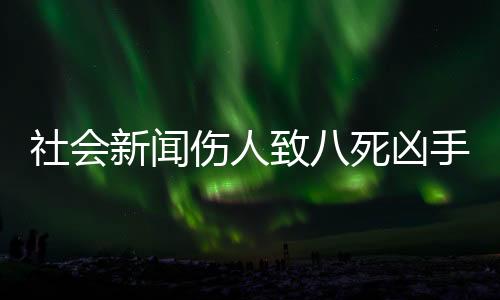 社會(huì)新聞傷人致八死兇手終伏法——正義不會(huì)遲到