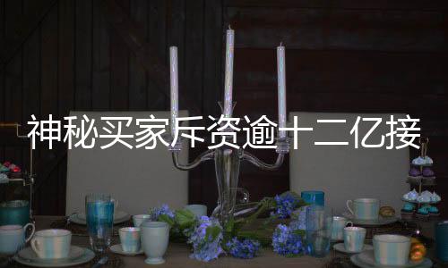 神秘買家斥資逾十二億接管上海城隍廟廣場(chǎng)