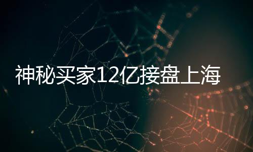 神秘買家12億接盤上海城隍廟廣場，交易背后的故事
