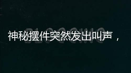 神秘?cái)[件突然發(fā)出叫聲，男子遭遇驚悚一刻