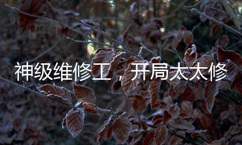 神級(jí)維修工，開(kāi)局太太修水管