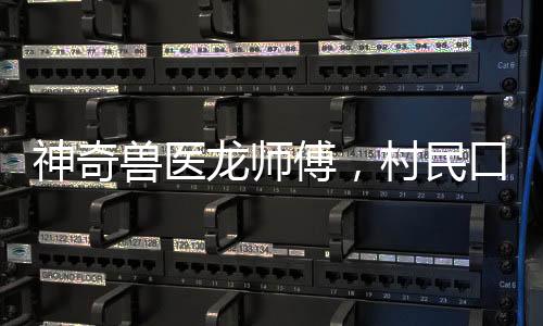 神奇獸醫(yī)龍師傅，村民口中的治愈奇跡