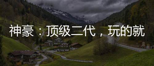 神豪：頂級二代，玩的就是消費