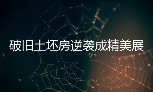 破舊土坯房逆襲成精美展廳，56歲農(nóng)村阿姨的傳奇故事