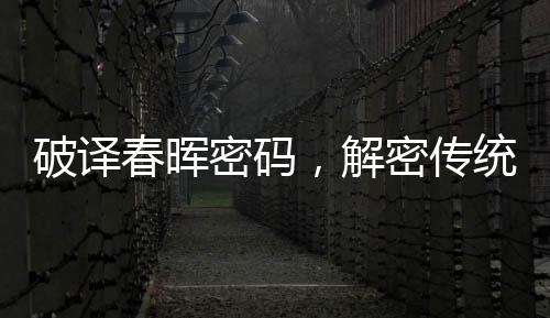 破譯春暉密碼，解密傳統(tǒng)文化之行行行春聯(lián)誦讀藝術(shù)