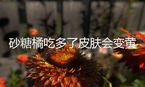 砂糖橘吃多了皮膚會(huì)變黃嗎？探究真相與科學(xué)依據(jù)