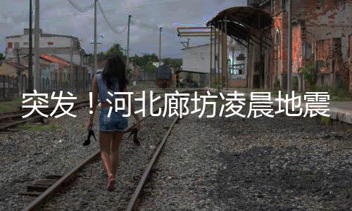 突發(fā)！河北廊坊凌晨地震，北京天津有震感