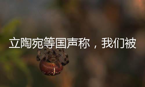 立陶宛等國聲稱，我們被美英法出賣——揭秘背后的真相