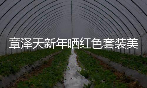 章澤天新年曬紅色套裝美照，展現(xiàn)三十風(fēng)華魅力