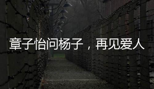 章子怡問楊子，再見愛人是演的嗎？專訪解讀綜藝節(jié)目幕后故事