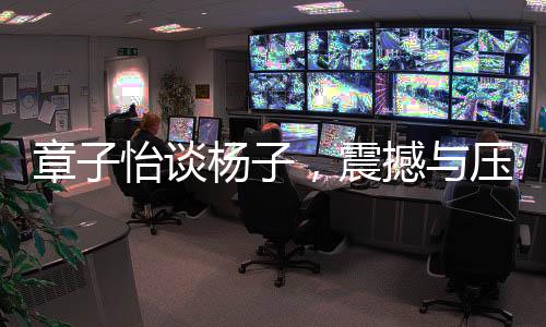 章子怡談楊子，震撼與壓力并存