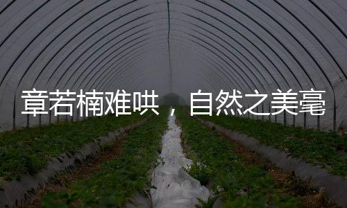 章若楠難哄，自然之美毫無攻擊性，如詩如畫引人入勝