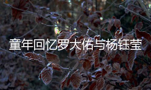 童年回憶羅大佑與楊鈺瑩小時候的除夕歌會