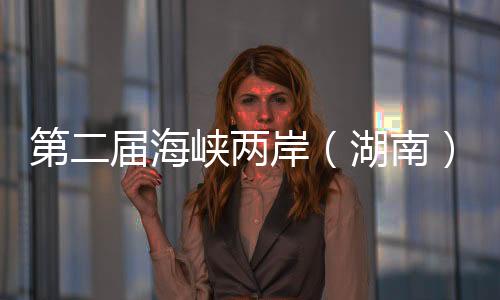 第二屆海峽兩岸（湖南）青年交流發(fā)展大會舉行  共促文化藝術(shù)發(fā)展