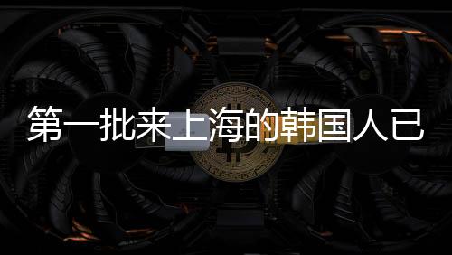 第一批來上海的韓國人已經(jīng)賺大了