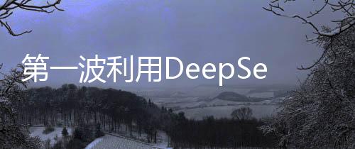 第一波利用DeepSeek技術(shù)掘金者涌現(xiàn)