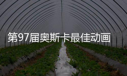 第97屆奧斯卡最佳動(dòng)畫長(zhǎng)片，超越想象的藝術(shù)佳作
