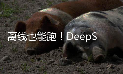 離線也能跑！DeepSeek大模型Flowy AI PC助手安裝指導(dǎo)