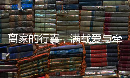 離家的行囊，滿載愛與牽掛的溫暖旅程