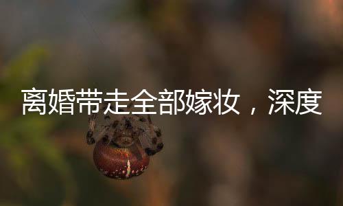 離婚帶走全部嫁妝，深度解讀背后的情感與經(jīng)濟(jì)問(wèn)題
