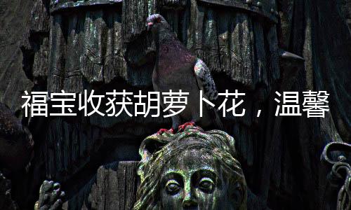福寶收獲胡蘿卜花，溫馨時刻與獨特紀念的交織