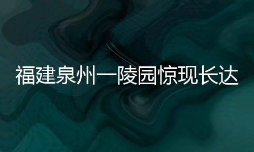 福建泉州一陵園驚現(xiàn)長達(dá)三米大蛇，引發(fā)關(guān)注