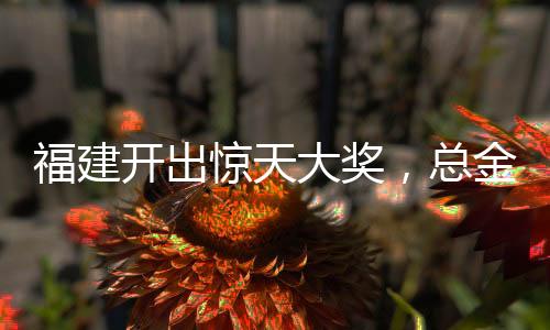 福建開(kāi)出驚天大獎(jiǎng)，總金額高達(dá)1.11億！