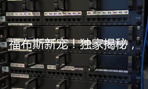 福布斯新寵！獨(dú)家揭秘，80后美女副總裁嶄露頭角登上福布斯富豪榜