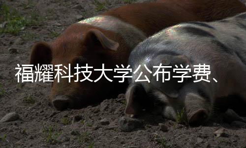 福耀科技大學(xué)公布學(xué)費(fèi)、招生人數(shù)等，最新資訊詳解