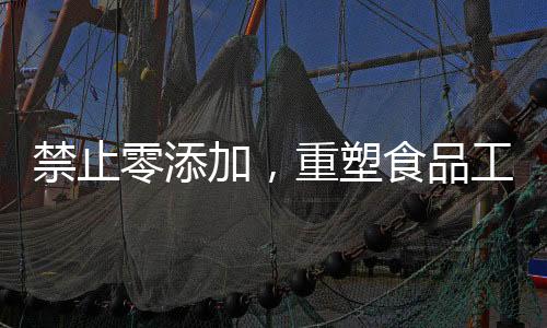 禁止零添加，重塑食品工業(yè)的新篇章
