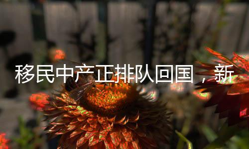 移民中產(chǎn)正排隊(duì)回國(guó)，新時(shí)代背景下的國(guó)際人才流動(dòng)新趨勢(shì)