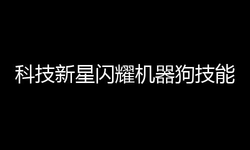 科技新星閃耀機(jī)器狗技能值拉滿，展現(xiàn)未來智能無限可能