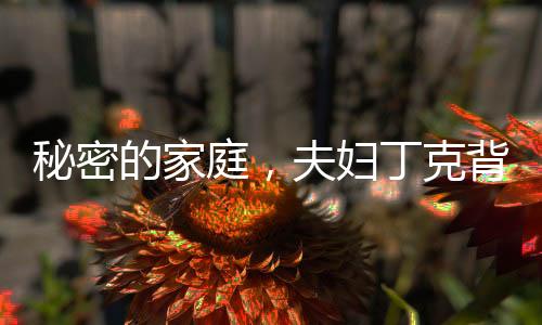 秘密的家庭，夫婦丁克背后的故事